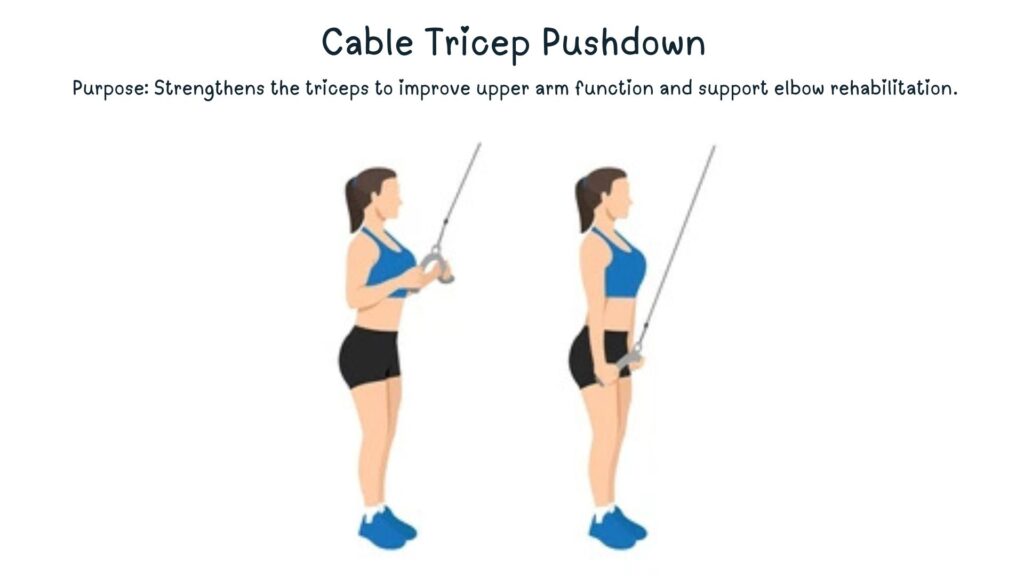 Cable Tricep Pushdown for Upper Arm Rehabilitation