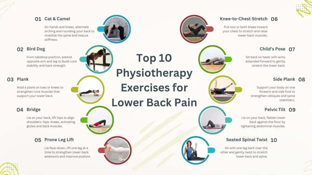 Effective Physiotherapy Exercises for Relieving Lower Back Pain