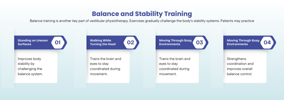 Balance and Stability Training
